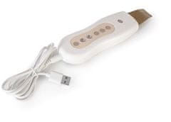 RIO Ultrasonic facial usb