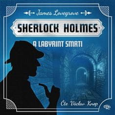 George Mann: Fantastický Sherlock Holmes 5 - Labyrint smrti