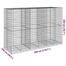 Petromila Gabionový koš s víkem 300 x 100 x 200 cm pozinkované železo