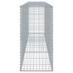 Petromila Gabionový koš s víkem 300 x 50 x 100 cm pozinkované železo