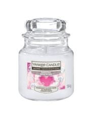 Yankee Candle Vonná svíčka Home Inspiration malá Bubble Time 104 g