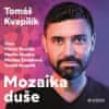 Tomáš Kvapilík: Mozaika duše (audiokniha) - Desatero pro zdravější duši a vztahy