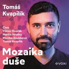 Tomáš Kvapilík: Mozaika duše (audiokniha) - Desatero pro zdravější duši a vztahy