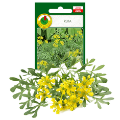 BOBIMARKET ruta musk flavour herb seeds bez gmo