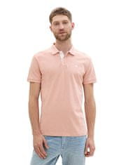 Tom Tailor Pánské polo triko Regular Fit 1031006.36365 (Velikost XXL)