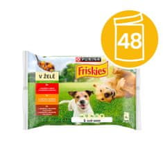 Friskies ADULT multipack 48 x 85 g lahodný výběr v želé