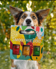 BiBi SmoothieDog Dárkový mix smoothie pro psy