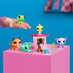 Littlest Pet Shop Pet Surprise - Překvapení v krabičce