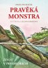 Pavel Pecháček: Pravěká monstra – Život v prvohorách - Jak vypadal svět před příchodem dinosaurů