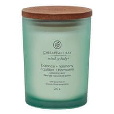 Svíčka ve skleněné váze Chesapeake Bay Candle, Rovnováha a harmonie, vodní hruška, 250 g