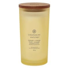 Svíčka ve skleněné váze Chesapeake Bay Candle, Síla a energie, ananas a kokos, 355 g