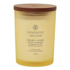 Svíčka ve skleněné váze Chesapeake Bay Candle, Síla a energie, ananas a kokos, 250 g