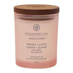 Svíčka ve skleněné váze Chesapeake Bay Candle, Stabilita a čistota, mech a moře, 96 g