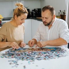 Trefl Puzzle Plavba po řece 1000 dílků