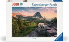 Ravensburger Puzzle Alpská koza s mládětem 3000 dílků