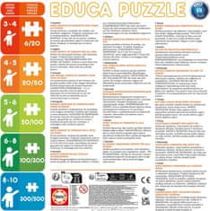 Educa Poster puzzle Kouzelná Beruška a Černý Kocour 250 dílků