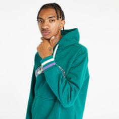 Champion Mikina Hooded Sweatshirt Bottle Green M Zelená