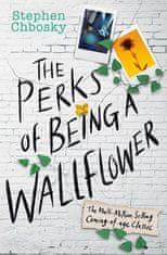 Stephen Chbosky: The Perks of Being a Wallflower YA Edition