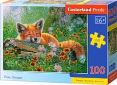 Castorland Puzzle Liščí snění 100 dílků