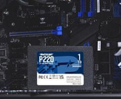 Patriot P220 - 1TB