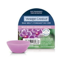 Yankee Candle Vonný vosk do aromalampy Wild Orchid 22g