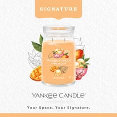 Yankee Candle Vonná svíčka Signature ve skle velká Mango Ice Cream 567g