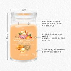 Yankee Candle Vonná svíčka Signature ve skle velká Mango Ice Cream 567g