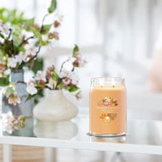 Yankee Candle Vonná svíčka Signature ve skle velká Mango Ice Cream 567g