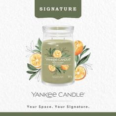 Yankee Candle Vonná svíčka Signature ve skle velká Sage & Citrus 567g