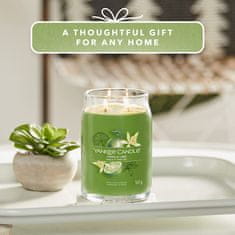 Yankee Candle Vonná svíčka Signature ve skle velká Vanilla Lime 567g