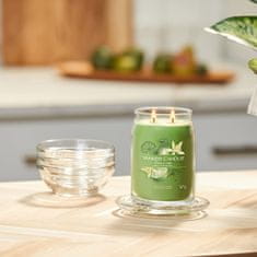 Yankee Candle Vonná svíčka Signature ve skle velká Vanilla Lime 567g