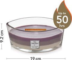 Woodwick Vonná svíčka s dřevěným knotem Elipsa Trilogy Amethyst Sky 453,6 g