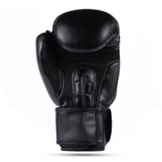 DBX BUSHIDO boxerské rukavice ARB-Black velikost 10 oz