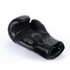 DBX BUSHIDO boxerské rukavice ARB-Black velikost 10 oz