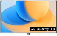 Panasonic TV-65W93AE6