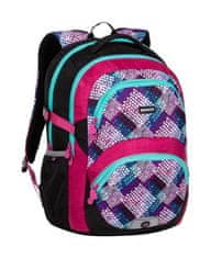 Bagmaster Theory 20 A Pink/turquoise/white