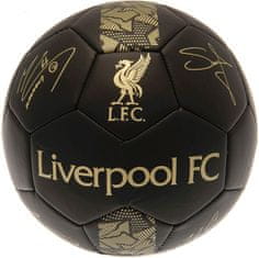 CurePink Fotbalový míč Liverpool FC: vzor Signature Gold PH (5)