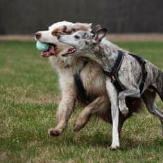 EXPLORER DOG AirBall Tyrkysový 8 cm