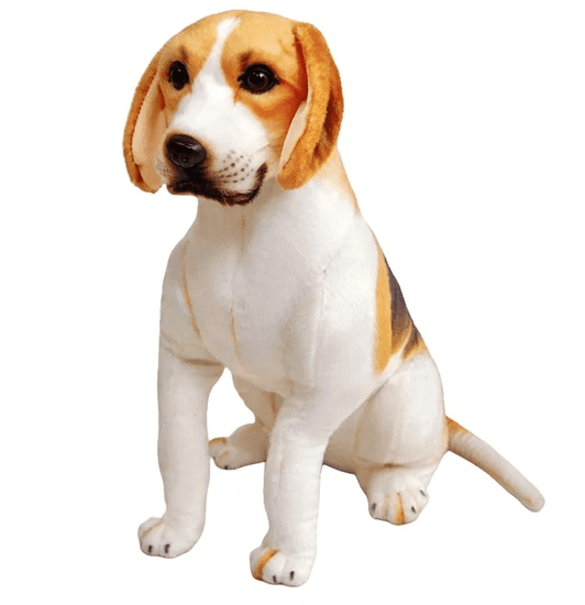 INTEREST Plyšový pes psík Beagle - Plyšák 25 cm))