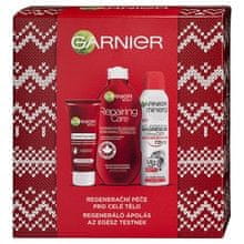 Garnier GARNIER - Repairing Care Set 