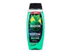 Radox Radox - Refreshment Menthol And Citrus 3-in-1 Shower Gel - For Men, 450 ml 