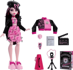 Mattel Mattel Panenka Monster High Fearbook - Draculaura HXW30))