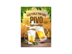 Nekupto Plechová cedule Pivo je můj kamarád BU30048