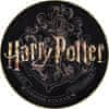 SUPERDRIVE Harry PotterProtect Floor mat