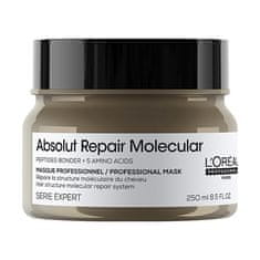 Loreal Professionnel Maska pro poškozené vlasy Absolute Repair Molecular (Professional Mask) (Objem 250 ml)