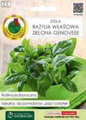 BOBIMARKET bazalka pravá zelená genovese semena bez gmo