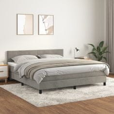 Vidaxl Box spring postel s matrací světle šedá 160x200 cm samet