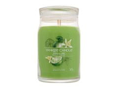 Yankee Candle 567g signature vanilla lime, vonná svíčka