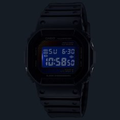 Casio G-Shock Rainbow Brick Wall Series DW-5600RW-1ER (322)