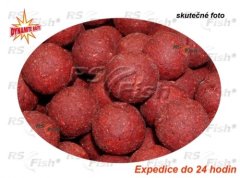 Dynamite Baits Robin Red